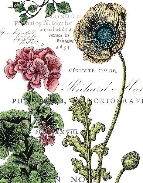 Botanical Postcard Color III