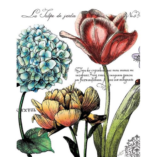 Botanical Postcard Color IV
