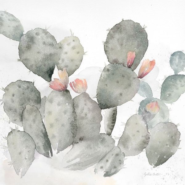 Cactus Garden Gray Blush I