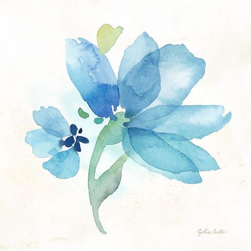 Blue Poppy Field Single IV