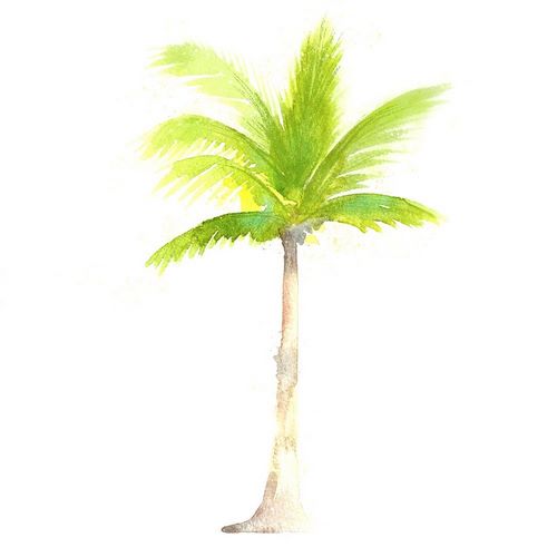 Tropical Icons Palm Tree