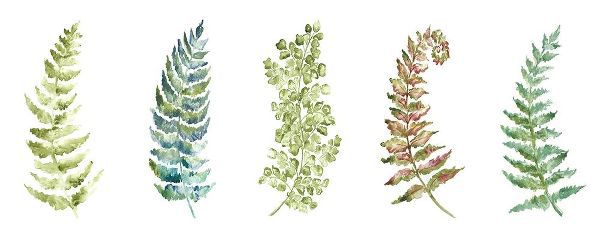 Botanical Ferns Panel