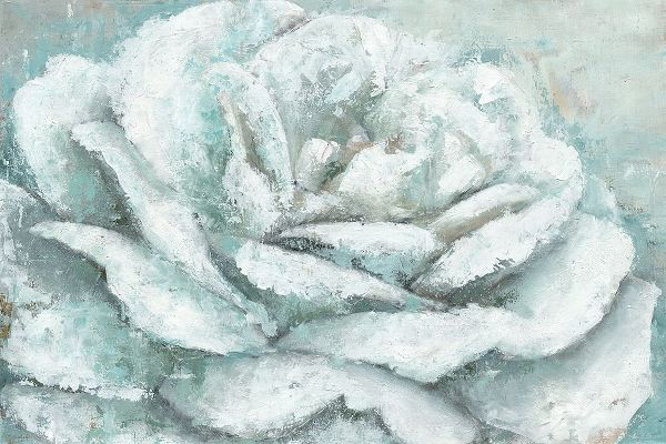 White Rose Splendor