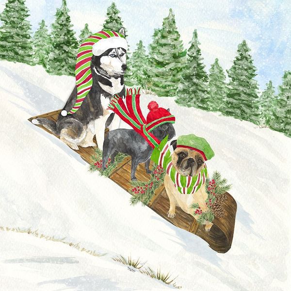 Reed, Tara 아티스트의 Dog Days of Christmas III-Sledding 작품