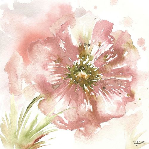 Blush Watercolor Poppy I