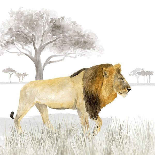 Serengeti Lion Square