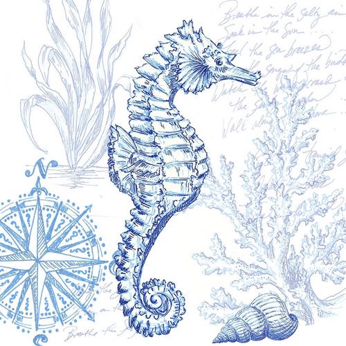 Coastal Sketchbook Sea Horse