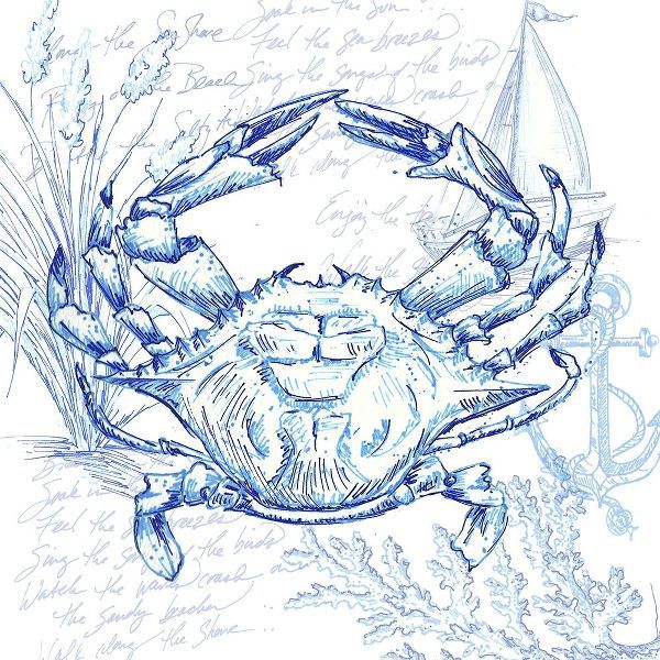 Coastal Sketchbook Crab