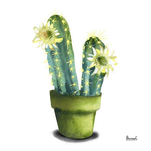Cactus Flowers II