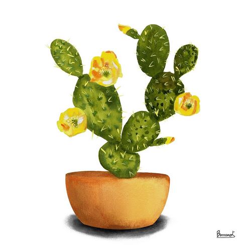 Cactus Flowers III