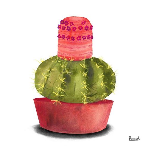 Cactus Flowers IV