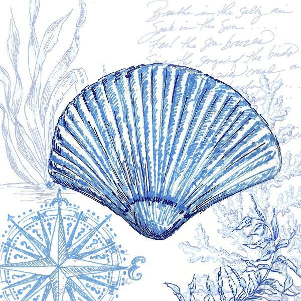 Coastal Sketchbook-Clam Shell