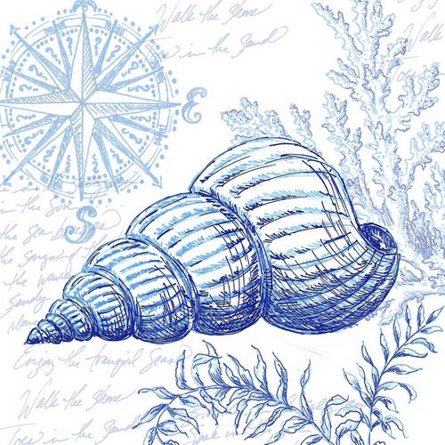 Coastal Sketchbook-Sea Shell