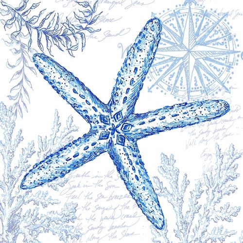 Coastal Sketchbook-Starfish