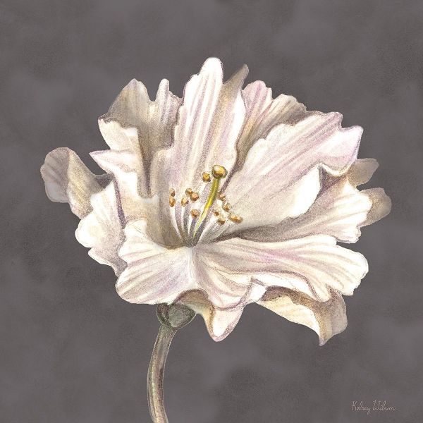 Cream Willow Blossom II