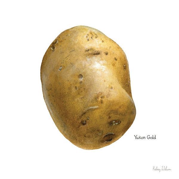 Organic Potatoes IV