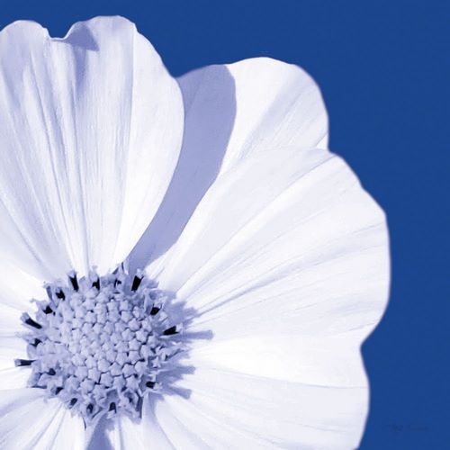 Flower Pop blue III