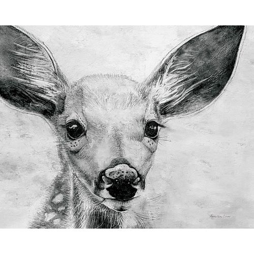 Portrait of a Fawn