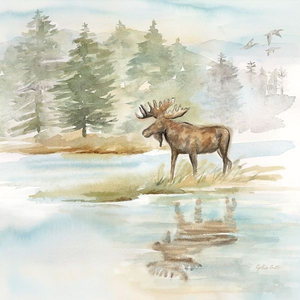 Woodland Reflections II-Moose