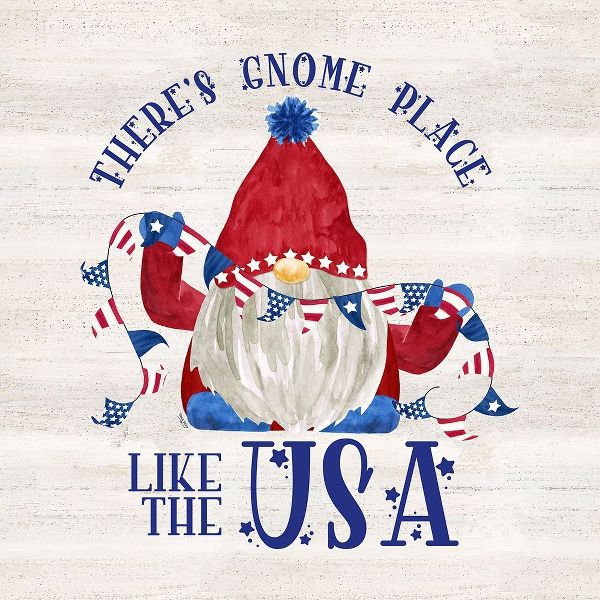 Patriotic Gnomes III-USA