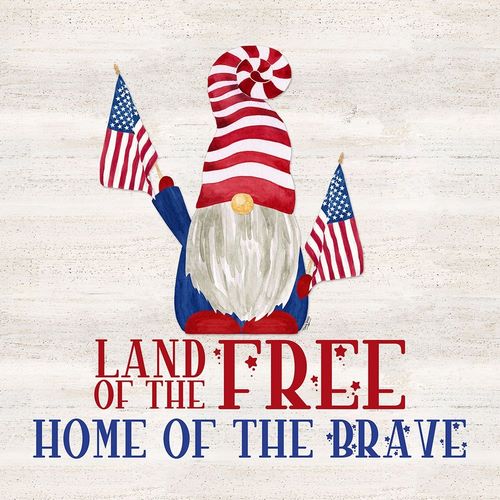 Patriotic Gnomes IV-Land of the Free