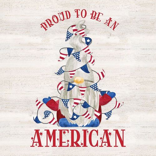 Patriotic Gnomes VI-American