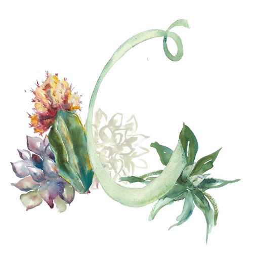 Watercolor Succulent Monogram C