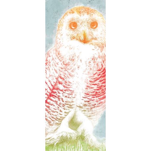 Snowy Owl panel rainbow