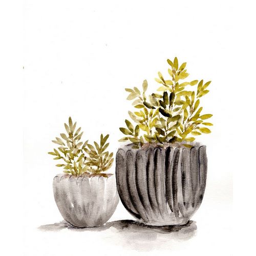 Gray Potted Plants