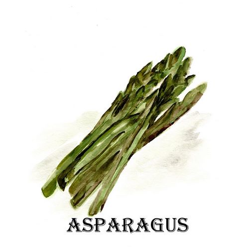 Veggie Sketch  I-Asparagus