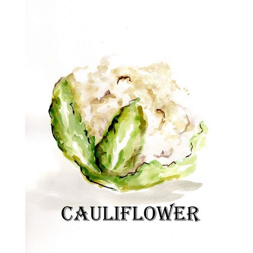 Veggie Sketch  VI-Cauliflower