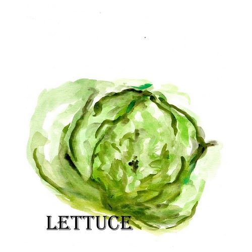 Veggie Sketch  IX-Lettuce
