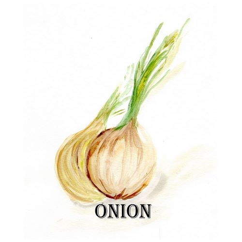 Veggie Sketch X-Onion