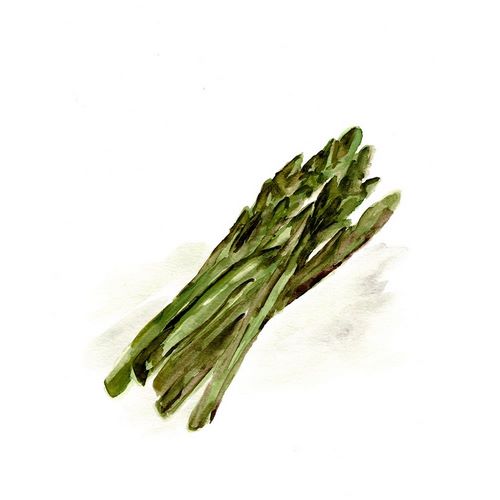 Veggie Sketch plain  I-Asparagus