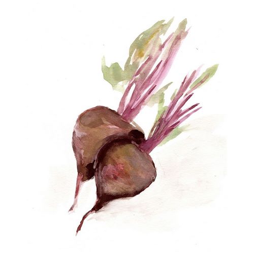 Veggie Sketch plain  IV-Brown Beets