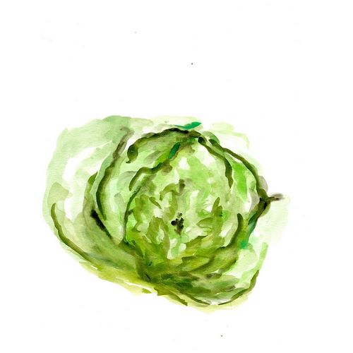 Veggie Sketch plain  IX-Lettuce