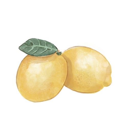 Citrus Limon III