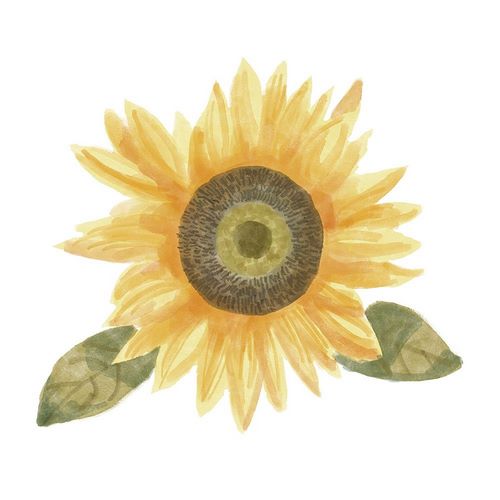 Single  Sunflower II