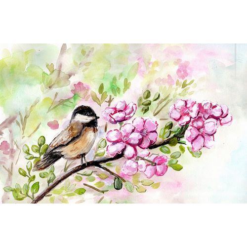 Spring  Chickadee and Apple Blossoms