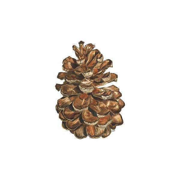 Reed, Tara 아티스트의 Home for the Holidays icon VII-Pinecone 1 작품