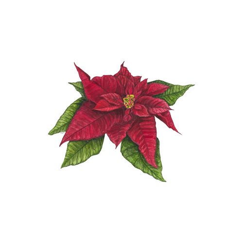 Reed, Tara 아티스트의 Home for the Holidays icon X-Poinsetta 1 작품