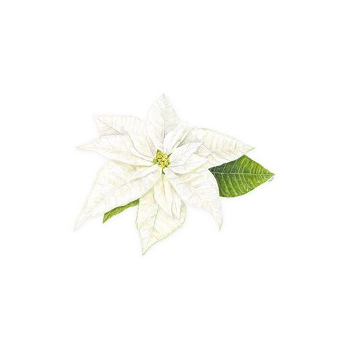 Reed, Tara 아티스트의 Home for the Holidays icon XIII-White Poinsetta 1 작품