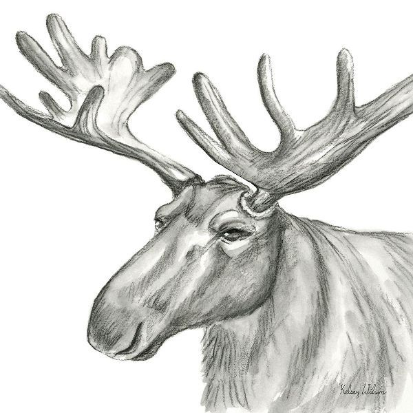 Wilson, Kelsey 아티스트의 Watercolor Pencil Forest I-Moose 작품