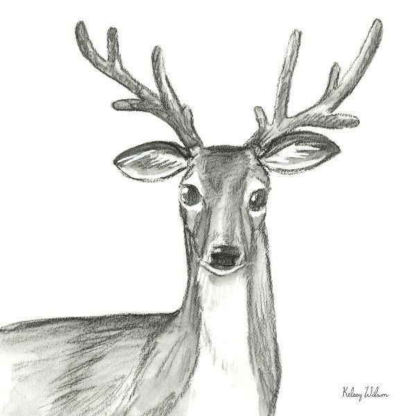 Wilson, Kelsey 아티스트의 Watercolor Pencil Forest VIII-Deer 작품
