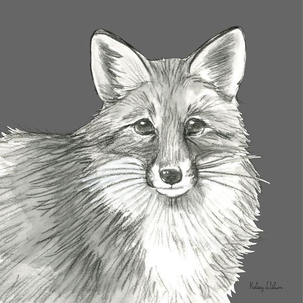 Wilson, Kelsey 아티스트의 Watercolor Pencil Forest color III-Fox 작품