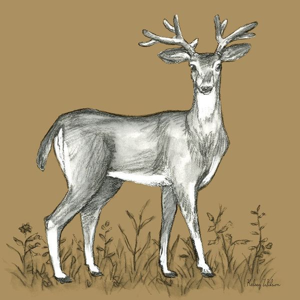 Wilson, Kelsey 아티스트의 Watercolor Pencil Forest color XI-Deer 2 작품