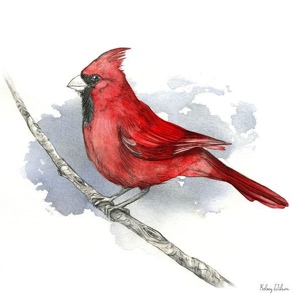 Wilson, Kelsey 아티스트의 Birds And Branches I-Cardinal 작품