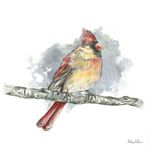 Wilson, Kelsey 아티스트의 Birds And Branches II-Female Cardinal 작품