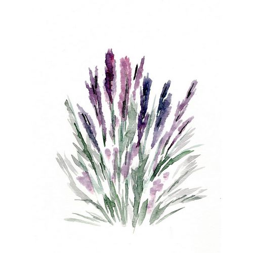 Chapman, Marcy 아티스트의 Lavender 작품