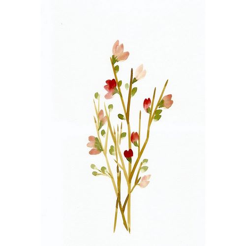 Chapman, Marcy 아티스트의 Golden Pink Blossoms 작품